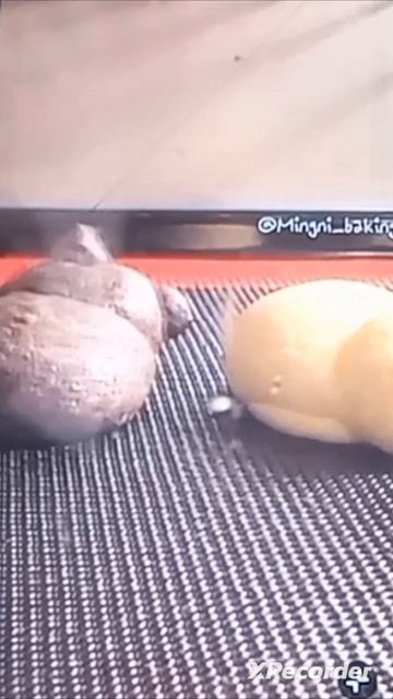 Когда началось лето: