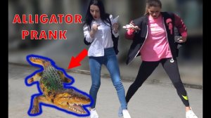 АЛЛИГАТОР РОЗЫГРЫШКА НА ДИСТАНЦИОННОМ УПРАВЛЕНИИ 2019 – УДИВИТЕЛЬНЫЕ РЕАКЦИИ – Лучшее из того, что п