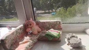 Утро уточки Моники и Басика..