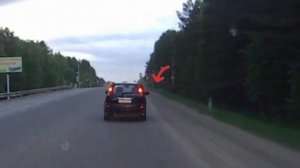 Мусорник что ли?
