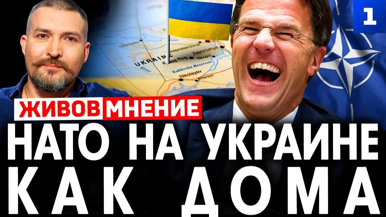 НАТО на Украине – как дома смотреть онлайн