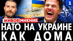 НАТО на Украине – как дома