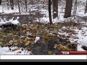 Городская канализация подтапливает барак Щекине