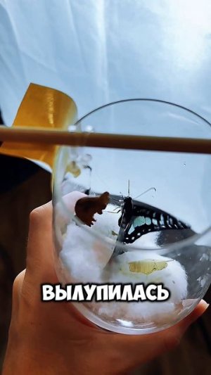 ОНА СУМАШЕДШАЯ!! ДО КОНЦААААА😮💨🤯