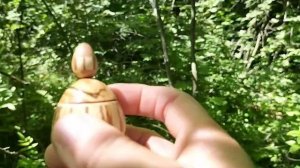 Шкатулка в июньский лесу на рябине с незабудками