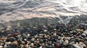 Водичка SD Из поиска (Нето)