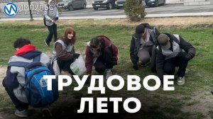 Трудовые отряды приступили к уборке города