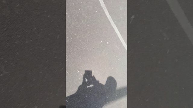 мы в лагере смотреть онлайн