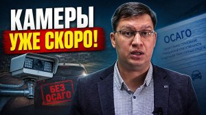 Правительство требует запустить камеры на водителей без ОСАГО!
