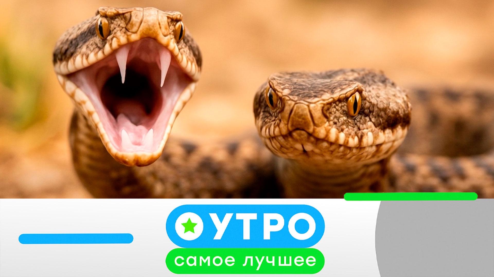 «Утро. Самое лучшее»: 3 июня 2026 года смотреть онлайн
