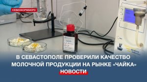 В Севастополе проверили качество молочной продукции на рынке «Чайка»