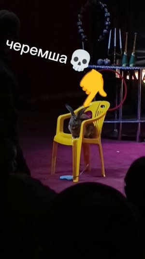 черемша💀