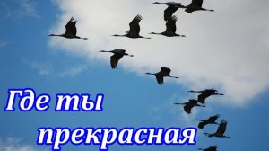 Гдe ты, прeкрacнaя || Христианская песня под гитару