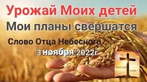 «Урожай Моих детей», «Мои планы свершатся» — слово Отца Небесного 03.11.22
