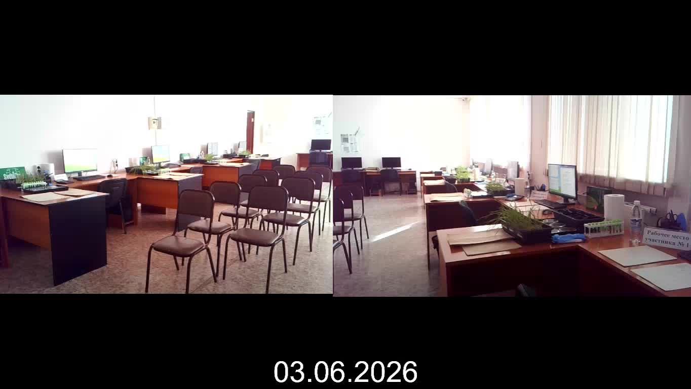 Дем Экзамен 03.06.26 смотреть онлайн
