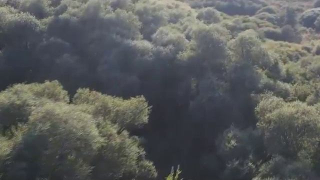 КОМЕДИЯ РОК Сердце бьётся тоскою мятежной!..