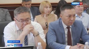 Помощь онкобольным, дефицит педкадров и предотвращение ДТП с животными