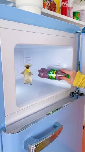 Замороженное желе?! Ты не поверишь, что получилось 😱🍧