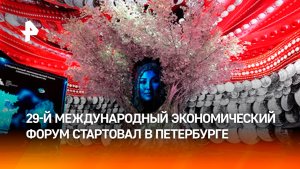 Развитие искусственного интеллекта и его уязвимости обсуждают на ПМЭФ-2026