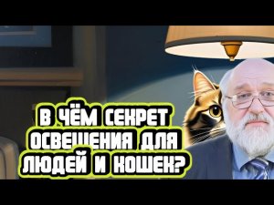 Борис Бояршинов про освещение для людей и кошек