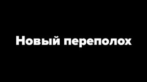 Правильная wildberries 42 серия новый переполох