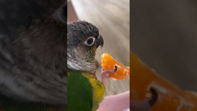 1000013328.mp4 ВДАЛИ ОТ ДОМА ПОНИМАЕШЬ КАК МНОГО В МИРЕ ПРЕКРАСНОГО