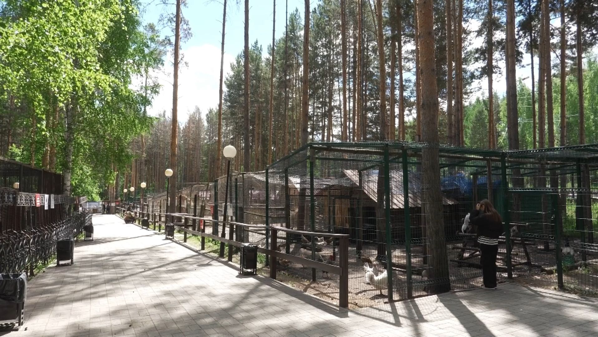 Время местное. Эфир: 03-06-2026 - Роддом для животных в Абзаково