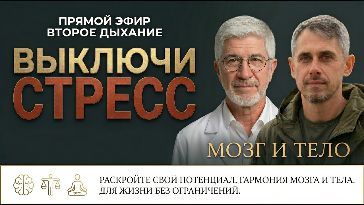 Ступор при стрессе - это не слабость: техника быстрого включения мозга и тела смотреть онлайн