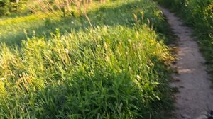 06.06.26 загадай желание!#Зеркальная дата# Часть1#