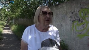 Травяные джунгли у дороги