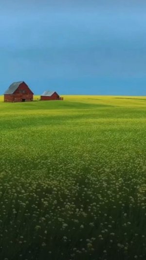 зануда отвечает на ваши вопросы. задавайте