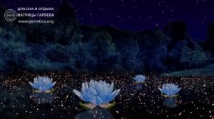 Матрица Гаряева - Для сна и отдыха #гаряев #матрицагаряева