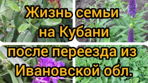 30.05-1.06/ Живём и работаем на Кубани/ Дожди,ветер и очень холодно🫣/ Работает отопление😒/