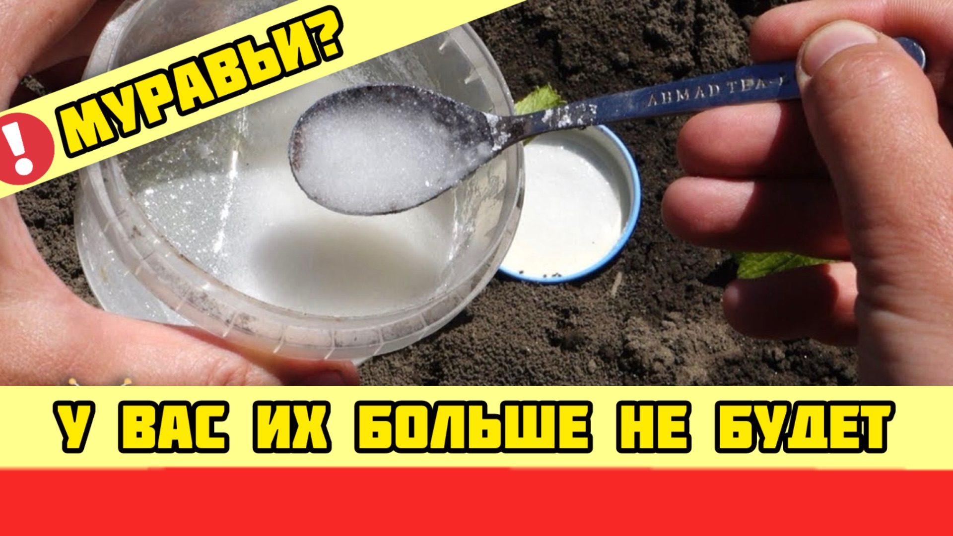 Муравьи! У вас их больше не будет! СУПЕР ЭФФЕКТИВНОЕ СРЕДСТВО смотреть онлайн