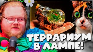 РЕАКЦИЯ T2x2: Засунул ЖИВОЕ СУЩЕСТВО в лампочку?! 😱 СливкиШоу сошёл с ума..
