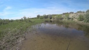 ОПАСНАЯ РЫБАЛКА СРЕДИ ЗАРОСЛЕЙ С КЛЕЩАМИ