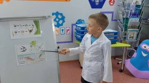 Юные блогеры «Интересные факты о стрекозе»