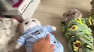 Басики едут на дачу😍