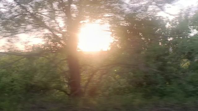 Поездка по городу смотреть онлайн