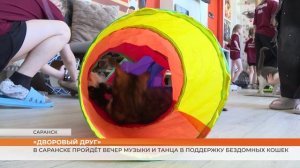 В Саранске пройдёт благотворительный концерт «Дворовый друг»
