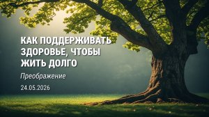 Воскресная служба от 24.05.2026. Проповедник: Александр Тимофеев