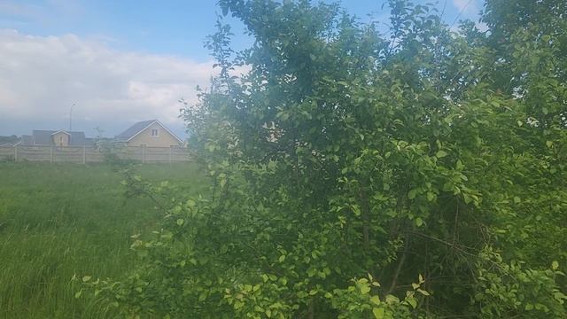 З/у с к.н. 50:28:0000000:59213, расположенный по адресу: МО, г.о. Домодедово, д. Острожки