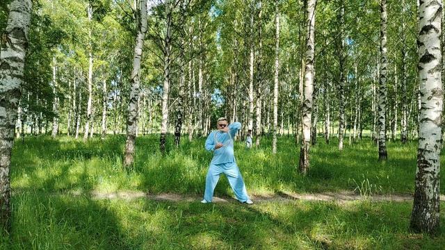 Упражнения с ротанговыми кольцами Вин Чун (21)