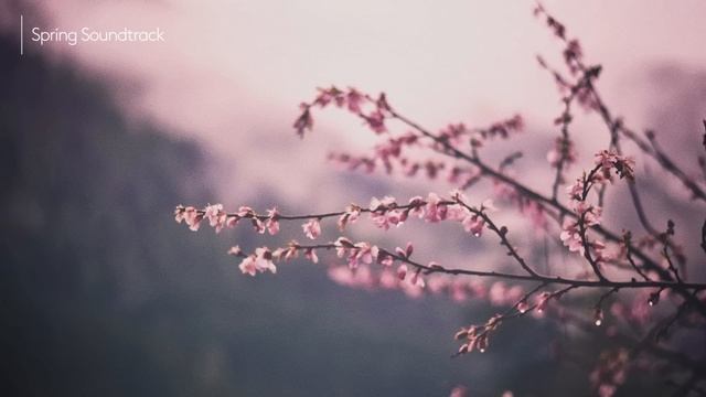 'Spring Soundtrack' presented by Anjunadeep