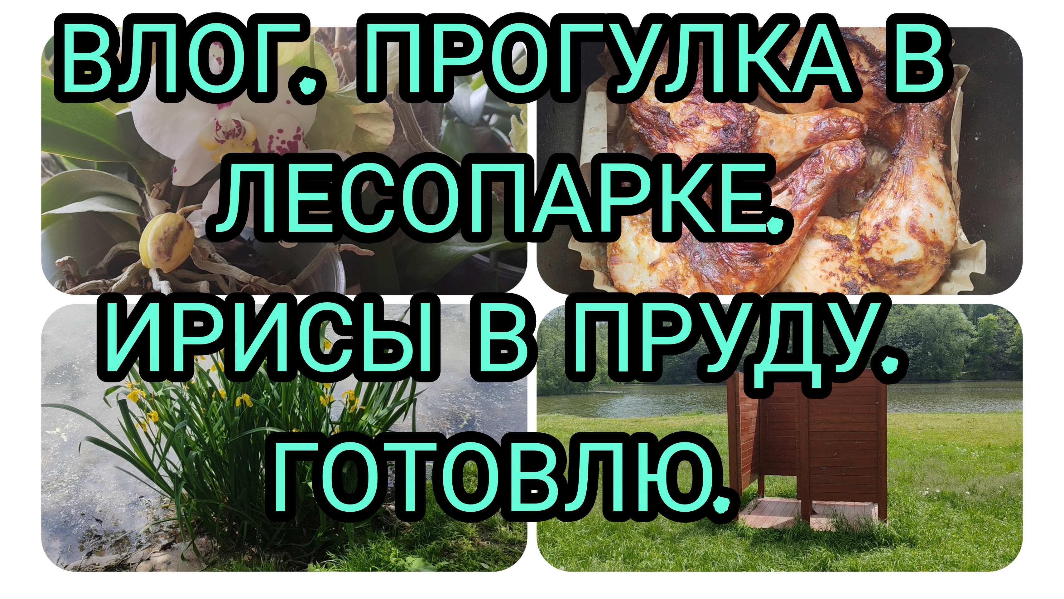 ВЛОГ. ЖЕНЩИНА КУПАЛАСЬ В ПРУДУ +25 В МОСКВЕ. ВСТРЕТИЛА БЕЛОЧКУ. ГОТОВЛЮ. ОРХИДЕЯ РАСЦВЕЛА. смотреть онлайн