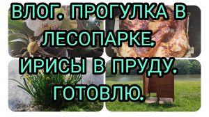 ВЛОГ. ЖЕНЩИНА КУПАЛАСЬ В ПРУДУ +25 В МОСКВЕ. ВСТРЕТИЛА БЕЛОЧКУ. ГОТОВЛЮ. ОРХИДЕЯ РАСЦВЕЛА.