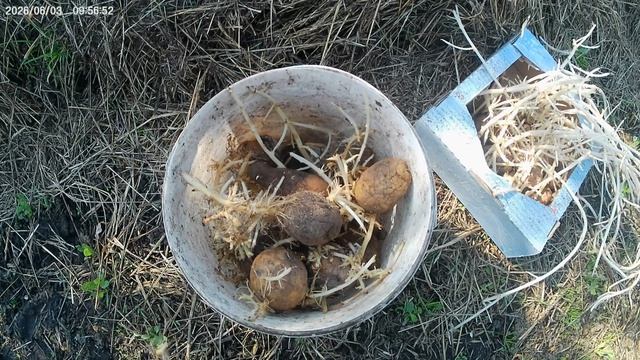 Экспериментирую.Не пропадать же добру. смотреть онлайн