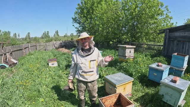 Пасека 2026 # 4. Пересаживаю новые семьи.