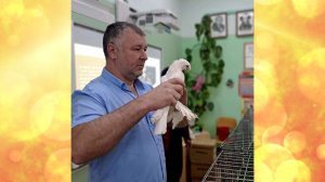 Виктор Богатырев // «Оранжевое утро» 03.06.26
