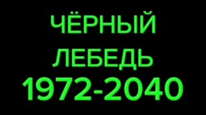 🔥Экономика Совести VS Чёрный Лебедь!💪😎